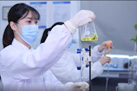 巾幗不讓須眉，她們獲省級巾幗文明崗榮譽